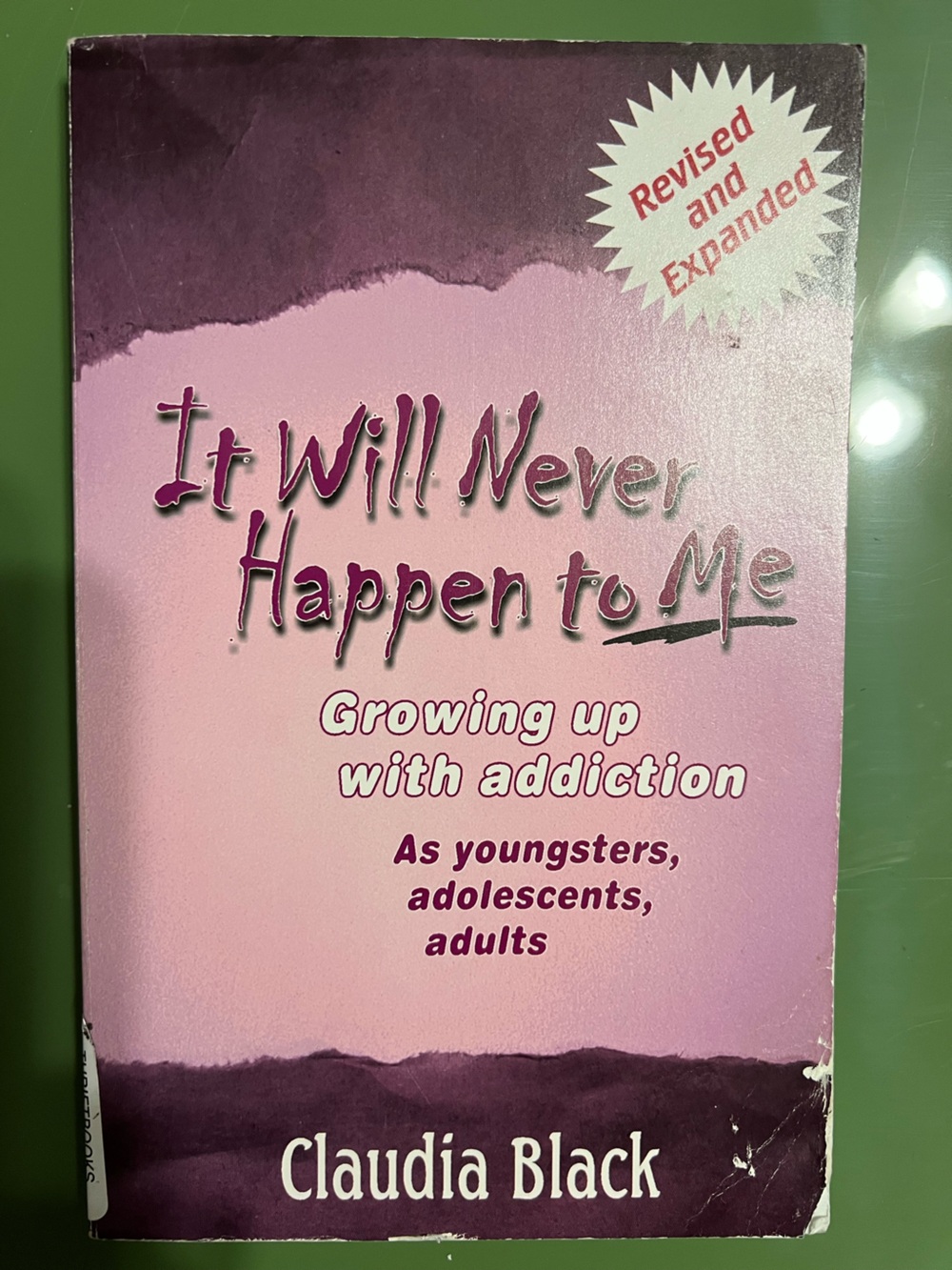 It Will Never Happen to Me book